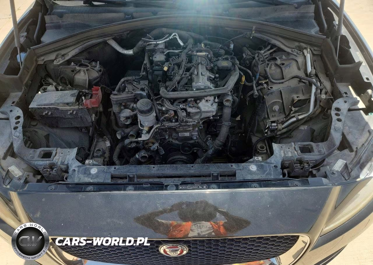 2018 Jaguar F-Pace Premium VIN:SADCJ2FX1JA265634 - 12