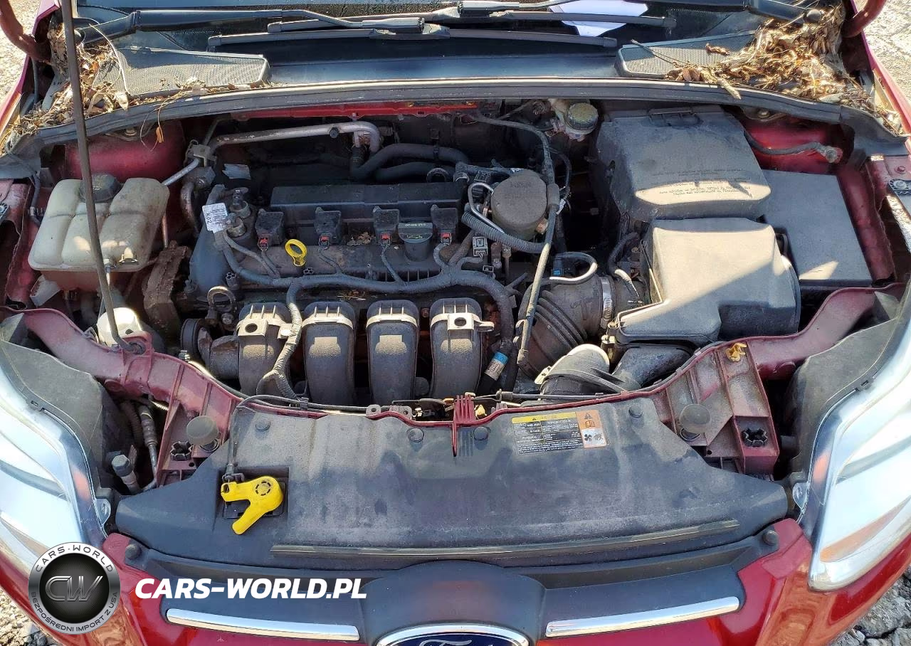 2014 Ford Focus Se VIN:1FADP3F21EL136382 - 11