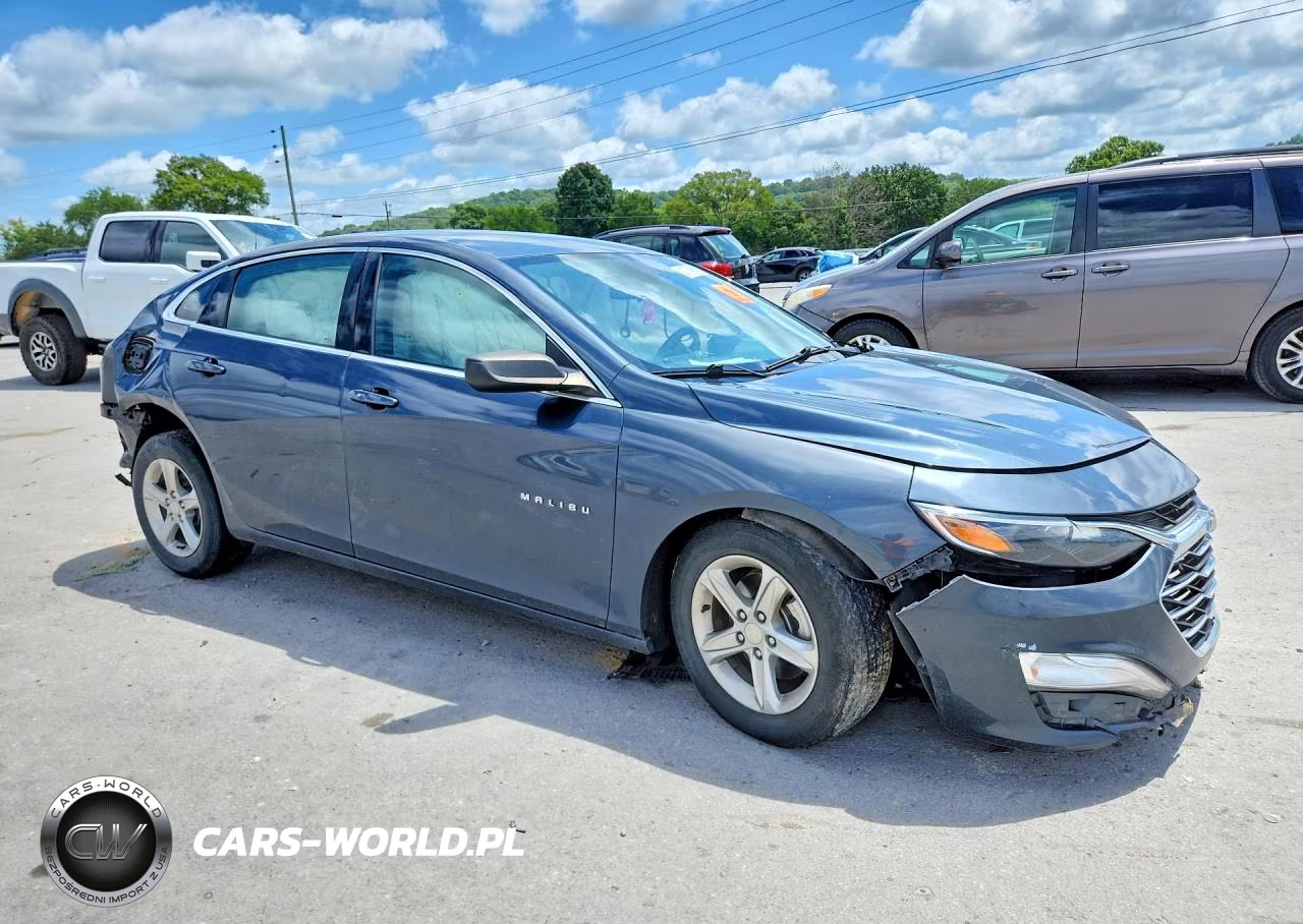 2020 Chevrolet Malibu Ls VIN:1G1ZB5ST6LF044875 - 4