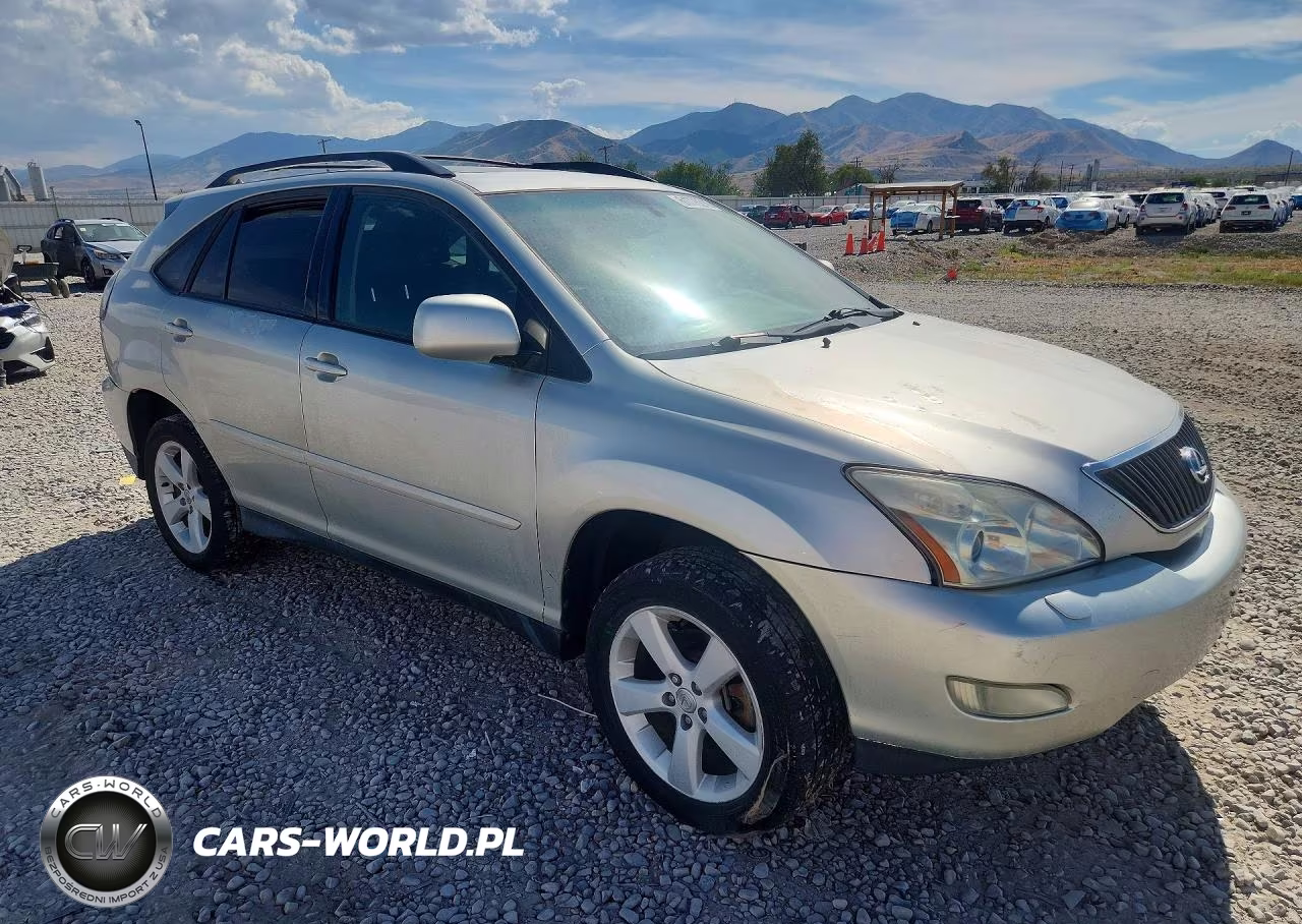 2005 Lexus Rx 330 VIN:2T2HA31U65C045746 - 4