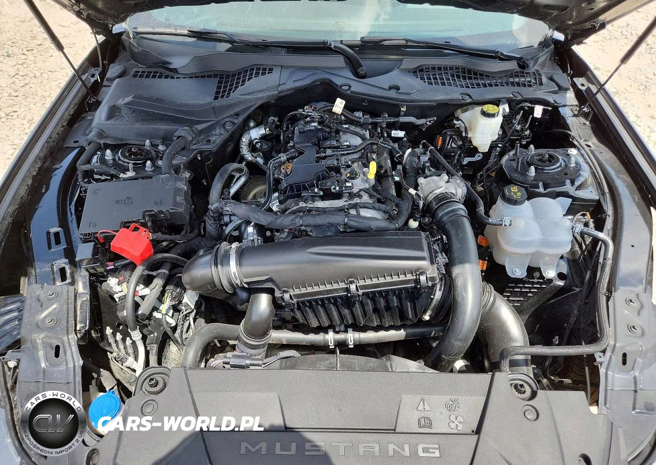 2025 Ford Mustang VIN:1FA6P8TH8S5121618 - 11