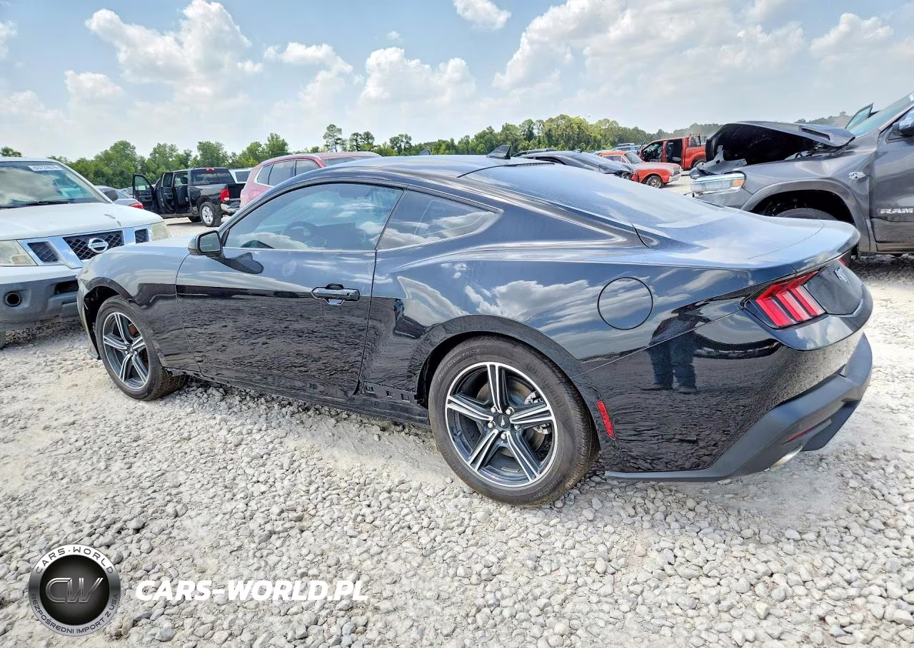 2025 Ford Mustang VIN:1FA6P8TH8S5121618 - 2