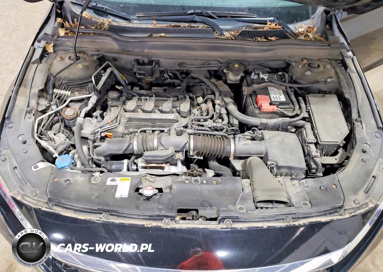 2019 Honda Accord Lx VIN:1HGCV1F16KA009921 - 11