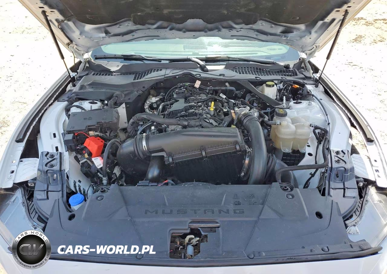 2024 Ford Mustang 2 Door Coupe VIN:1FA6P8TH6R5117674 - 12