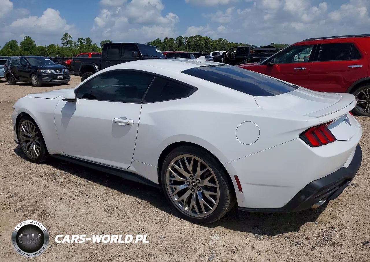 2024 Ford Mustang 2 Door Coupe VIN:1FA6P8TH6R5117674 - 2