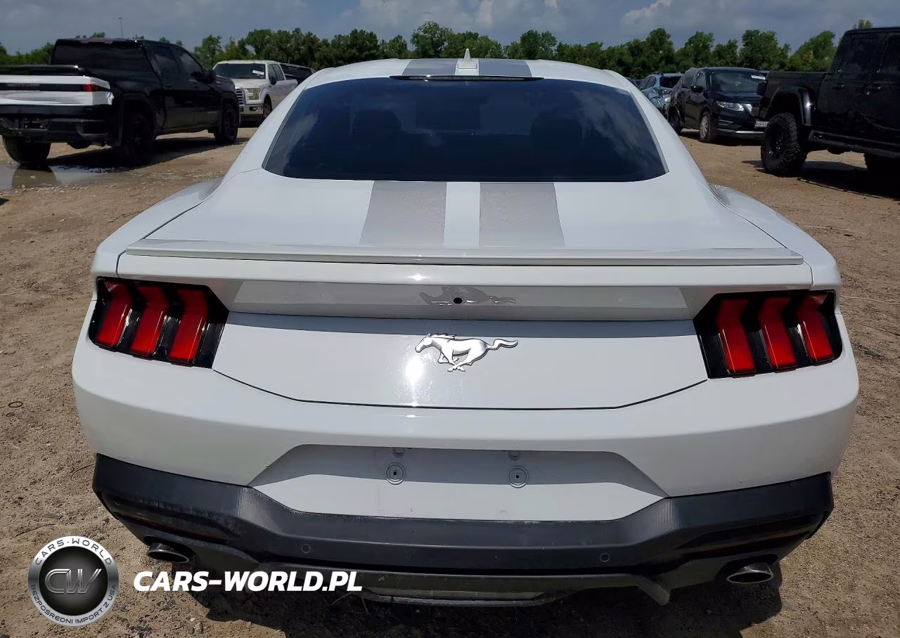 2024 Ford Mustang 2 Door Coupe VIN:1FA6P8TH6R5117674 - 6