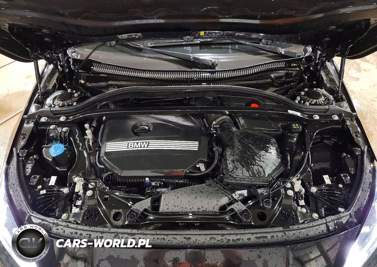 2025 BMW 228 VIN:WBA23GG06S7S53409 - 11