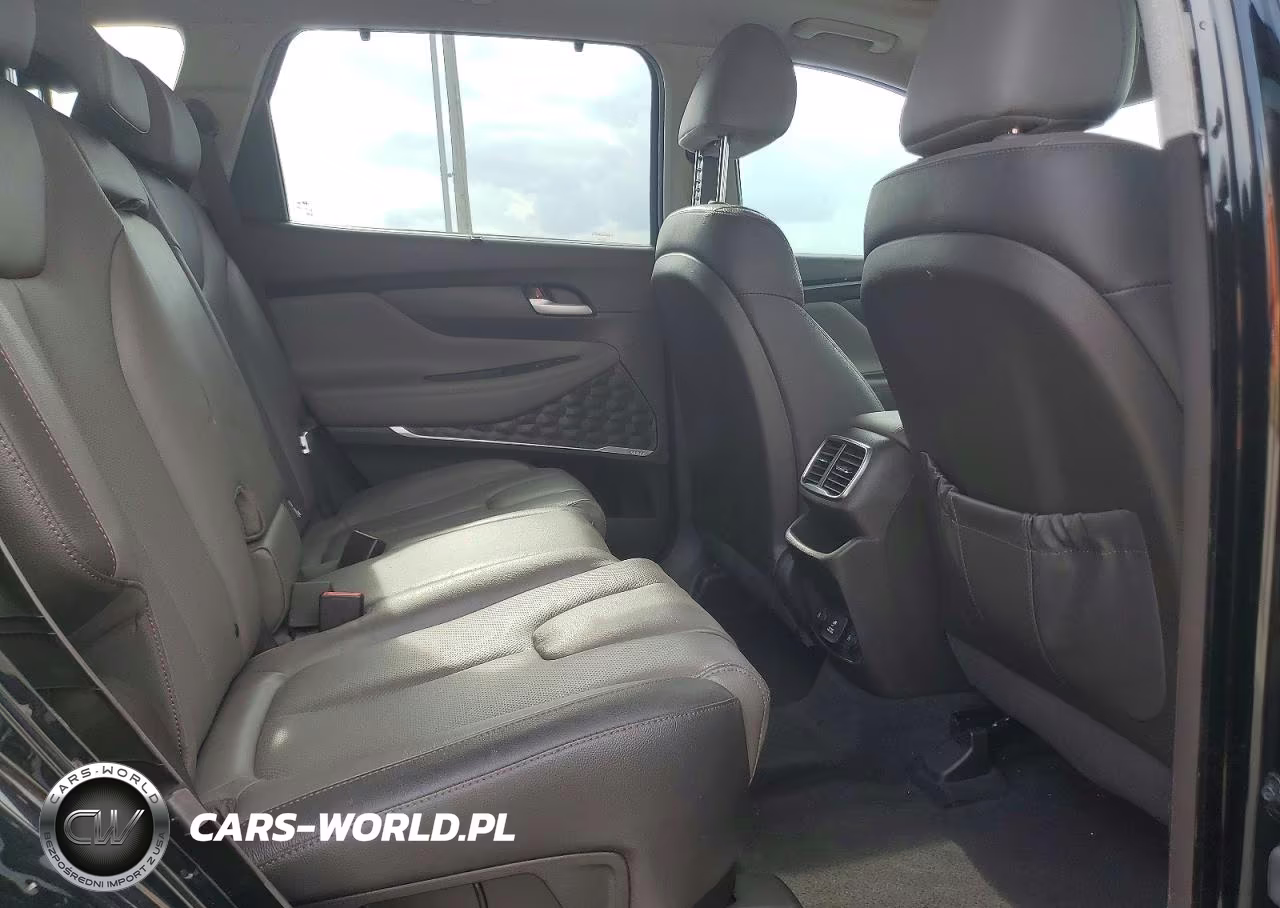 2020 Hyundai Santa Fe Limited 2.0T VIN:5NMS53AA2LH198779 - 11