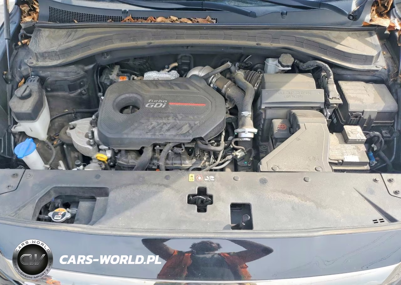2020 Hyundai Santa Fe Limited 2.0T VIN:5NMS53AA2LH198779 - 12