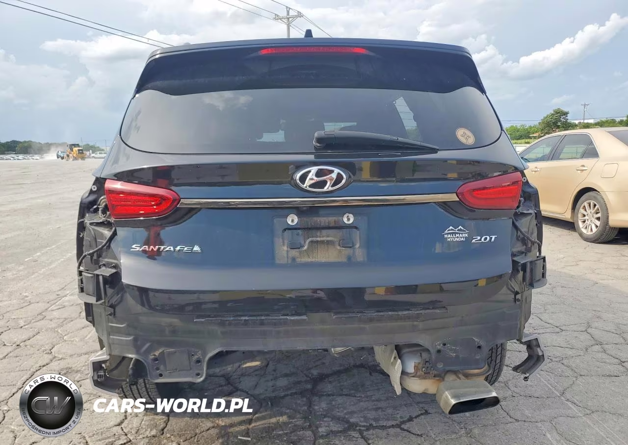 2020 Hyundai Santa Fe Limited 2.0T VIN:5NMS53AA2LH198779 - 6