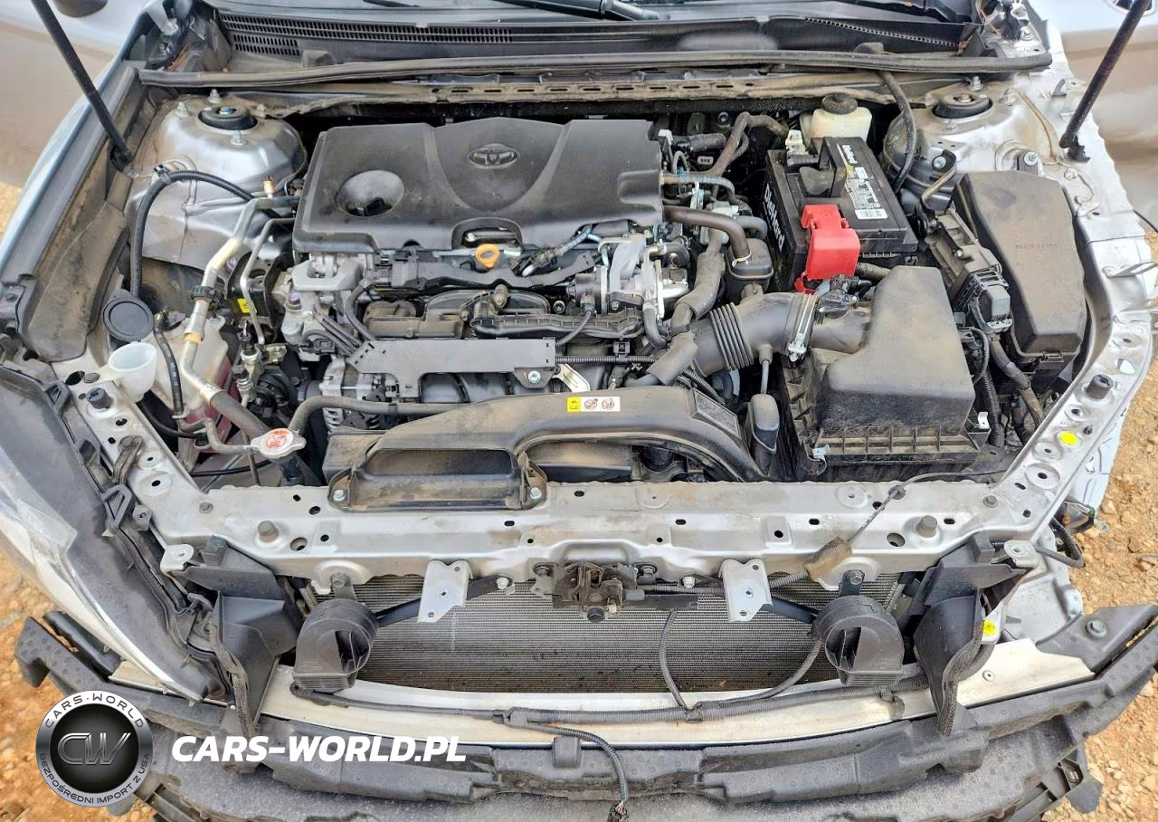2019 Toyota Camry Le VIN:4T1B11HK7KU755834 - 11