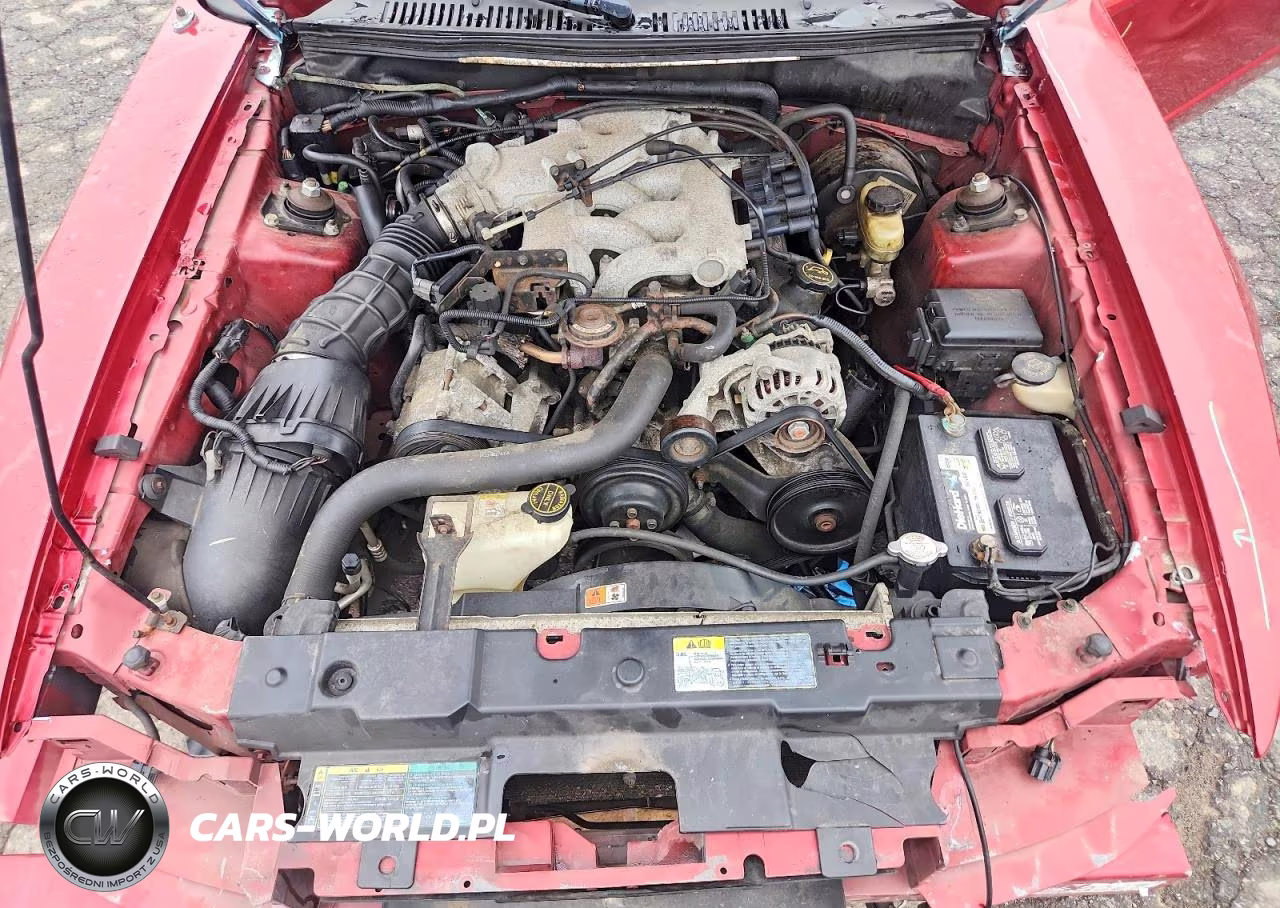 2003 Ford Mustang VIN:1FAFP44433F392960 - 11