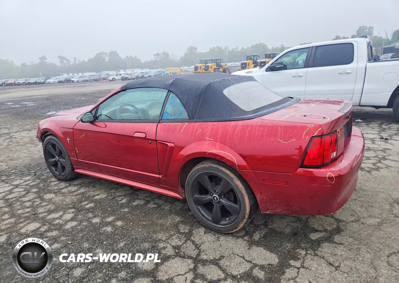 2003 Ford Mustang VIN:1FAFP44433F392960 - 2