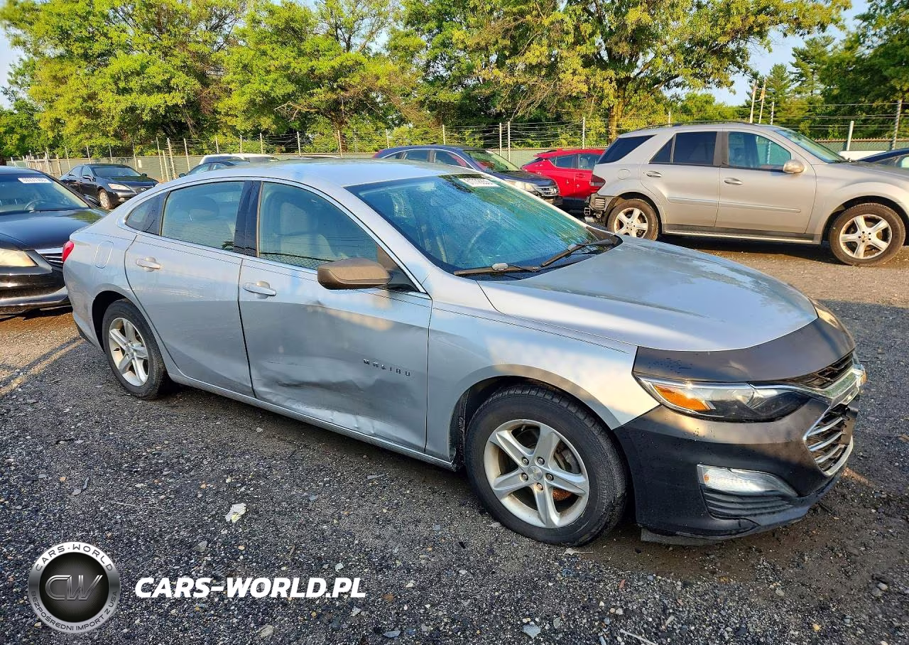 2019 Chevrolet Malibu Ls VIN:1G1ZB5ST7KF193665 - 4