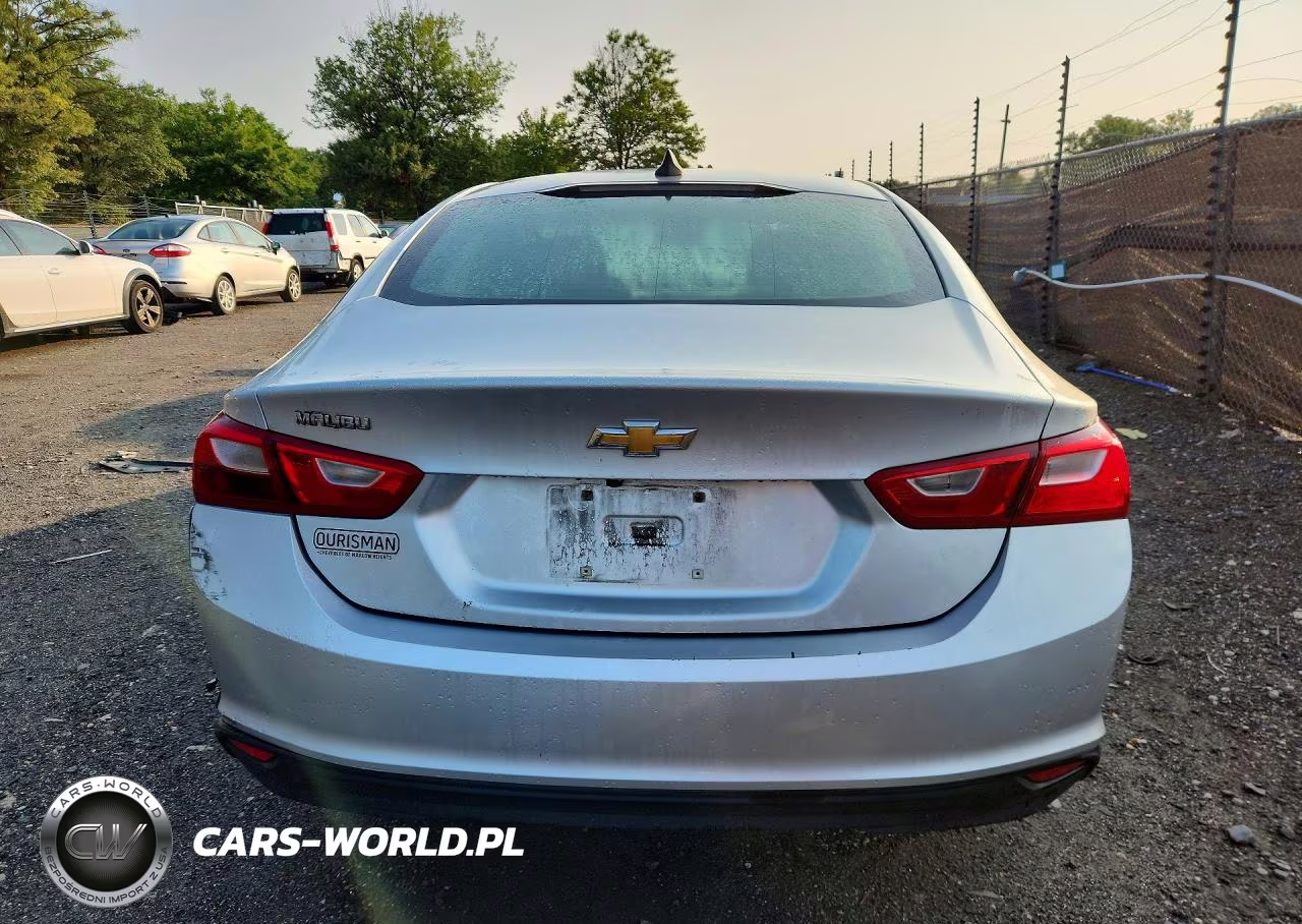 2019 Chevrolet Malibu Ls VIN:1G1ZB5ST7KF193665 - 6