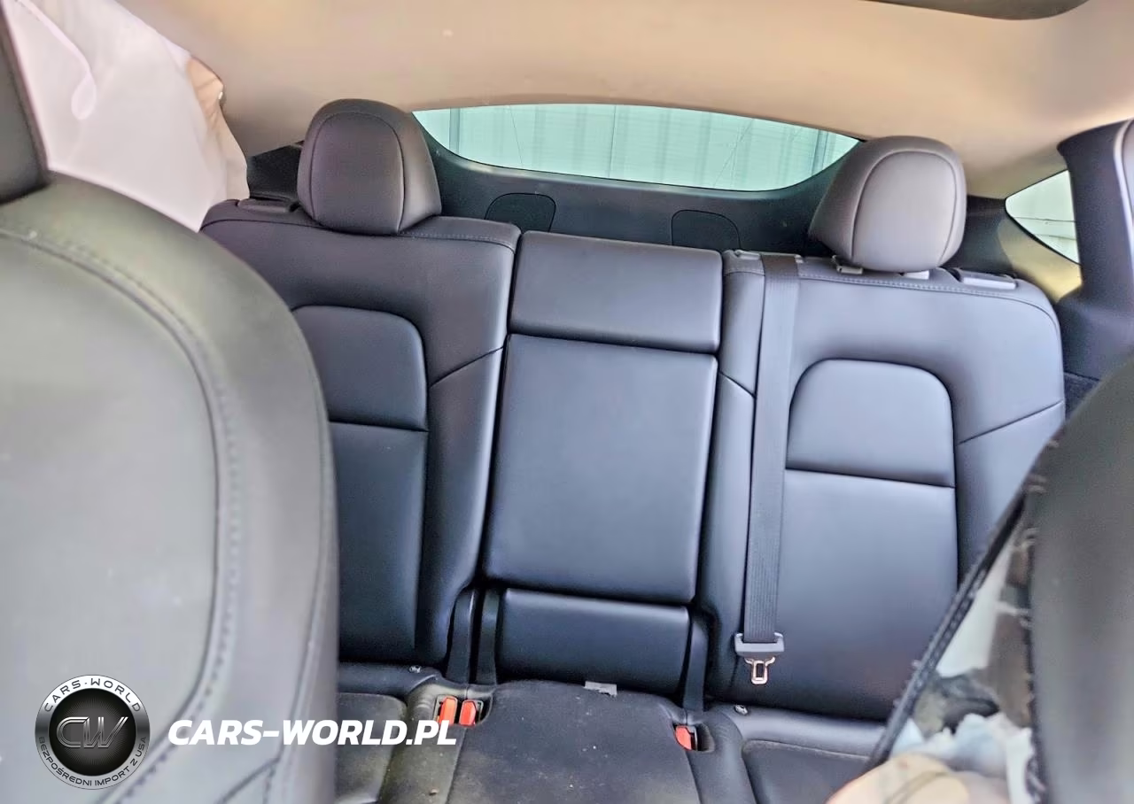 2023 Tesla Model Y VIN:7SAYGDEE7PA188005 - 10