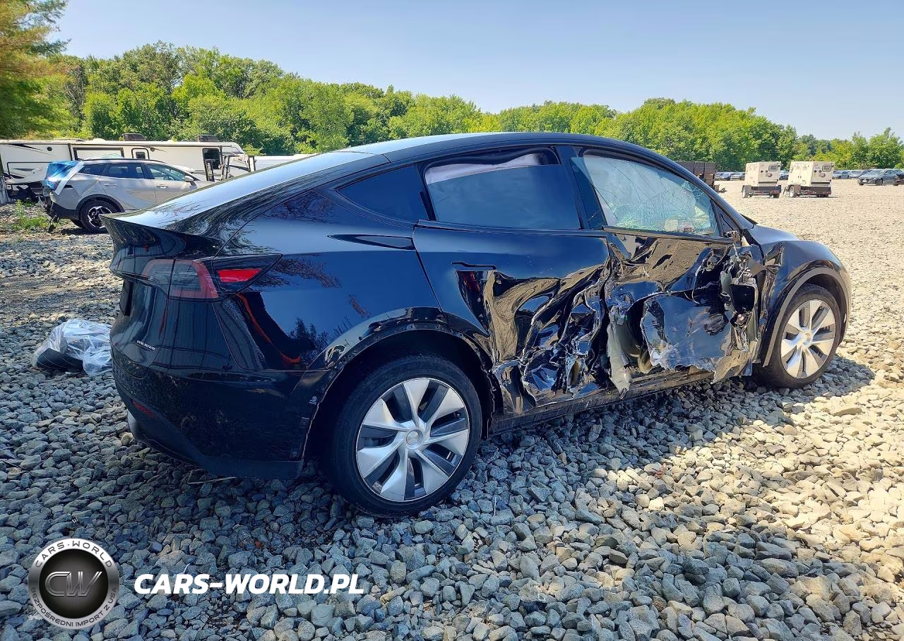2023 Tesla Model Y VIN:7SAYGDEE7PA188005 - 3