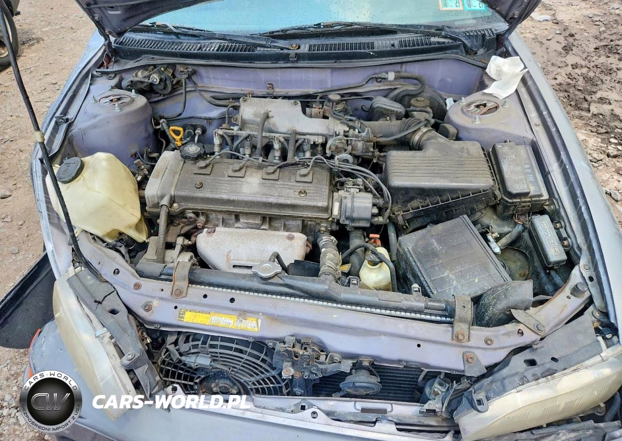 1997 Toyota Corolla Base VIN:2T1BA02EXVC185072 - 11