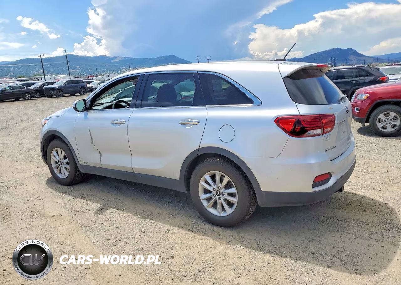2019 Kia Sorento Lx VIN:5XYPGDA36KG454258 - 2