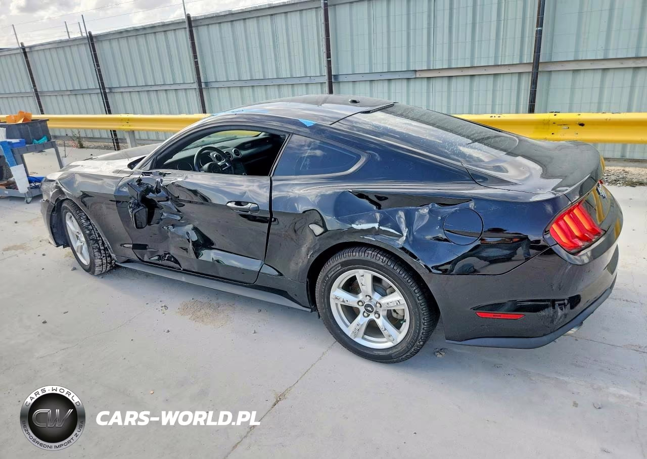 2019 Ford Mustang VIN:1FA6P8TH0K5192442 - 2