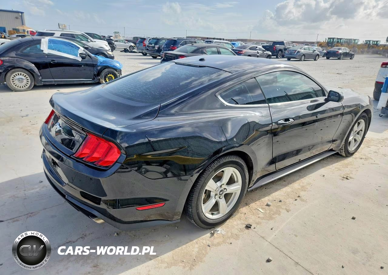 2019 Ford Mustang VIN:1FA6P8TH0K5192442 - 3