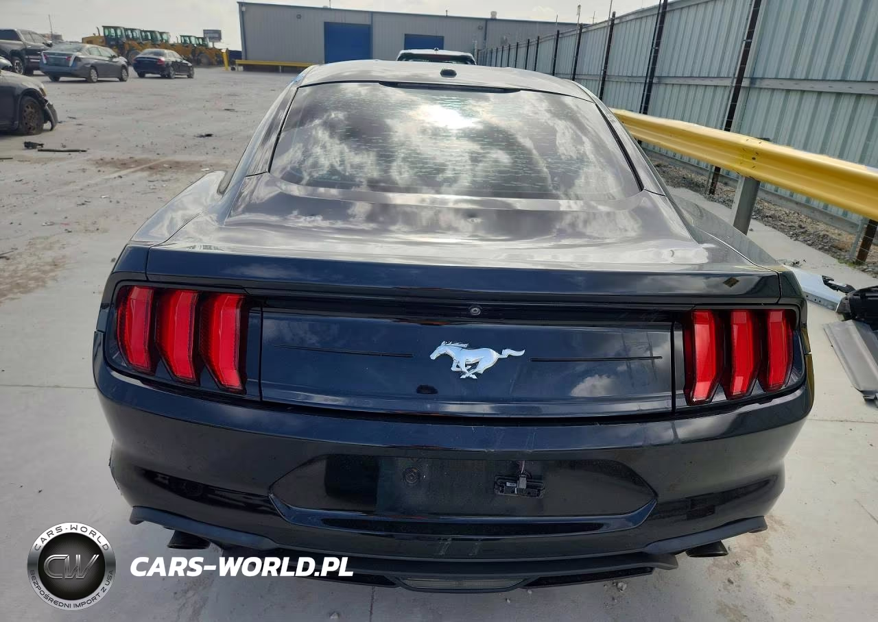 2019 Ford Mustang VIN:1FA6P8TH0K5192442 - 6
