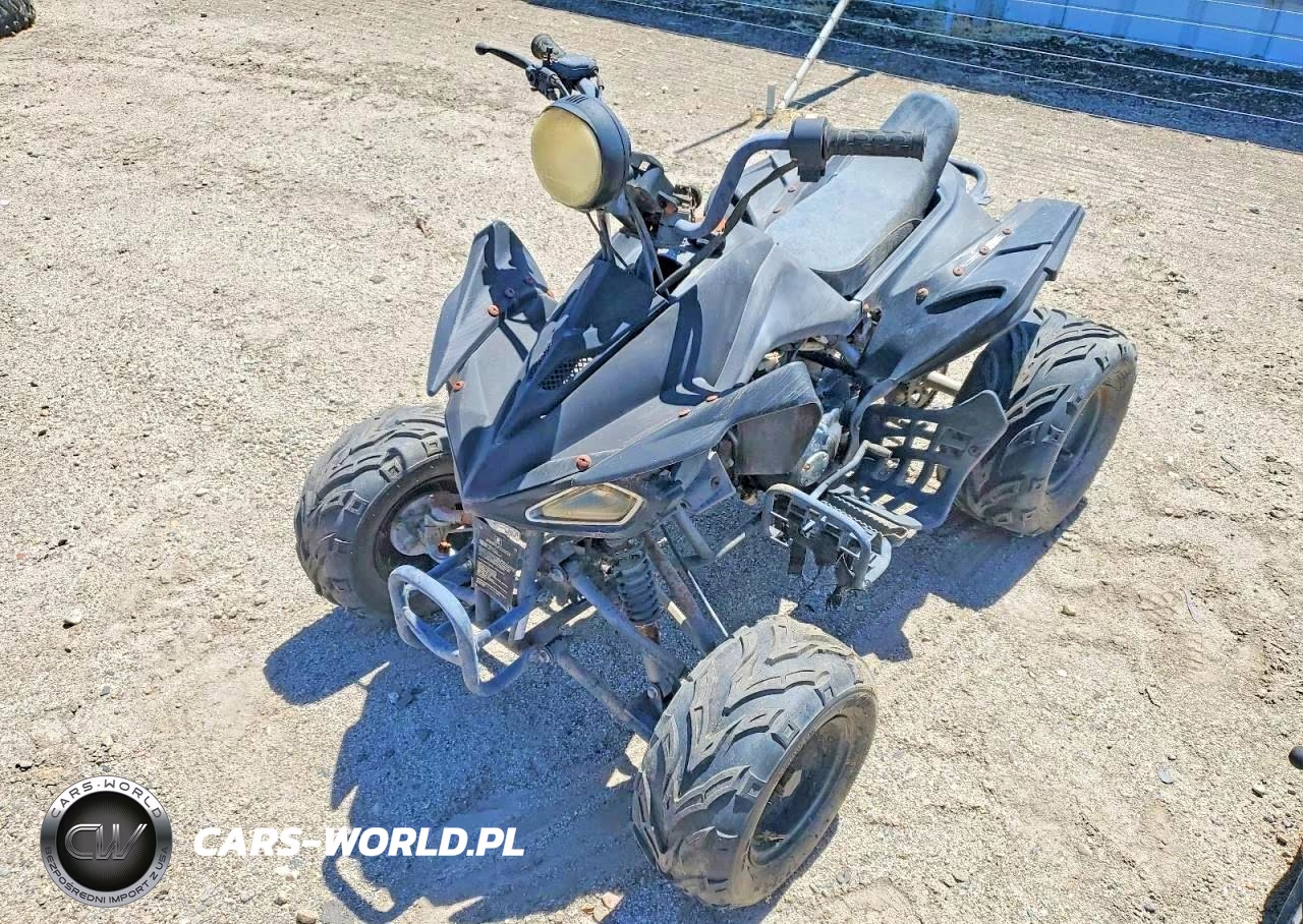 2011 Honda 4W VIN:L5NATMCT2BT283081 - 2