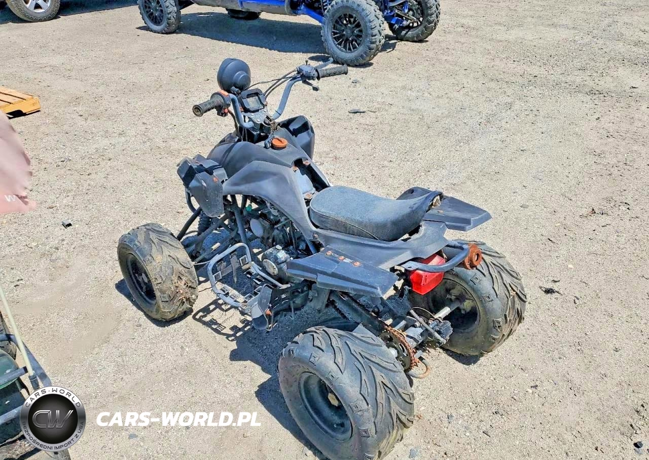 2011 Honda 4W VIN:L5NATMCT2BT283081 - 3