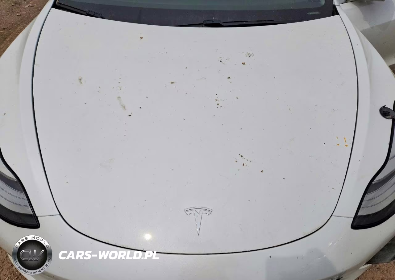 2020 Tesla Model 3 VIN:5YJ3E1EB5LF512227 - 11