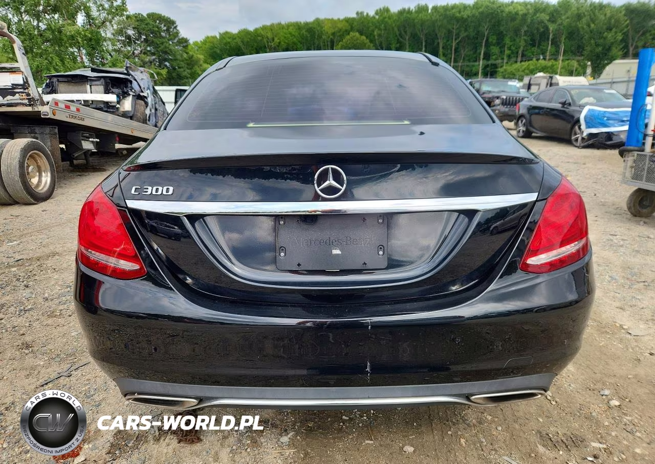 2017 Mercedes-Benz C 300 VIN:55SWF4JB8HU219736 - 6