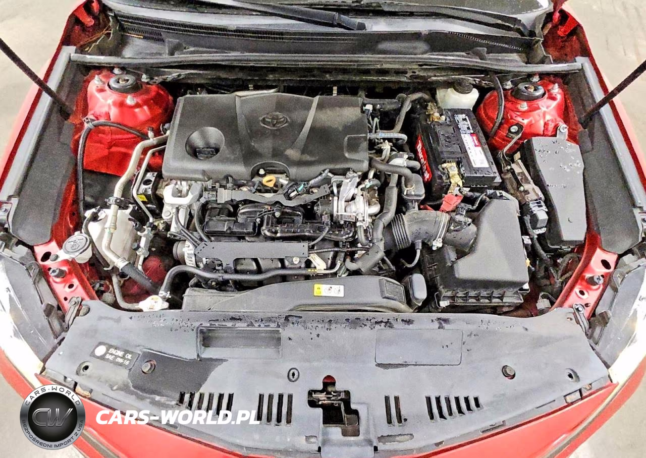 2019 Toyota Camry Se VIN:4T1B11HK9KU286651 - 11