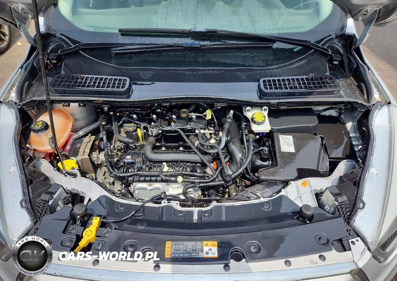 2019 Ford Escape Sel VIN:1FMCU0HD5KUB51657 - 12