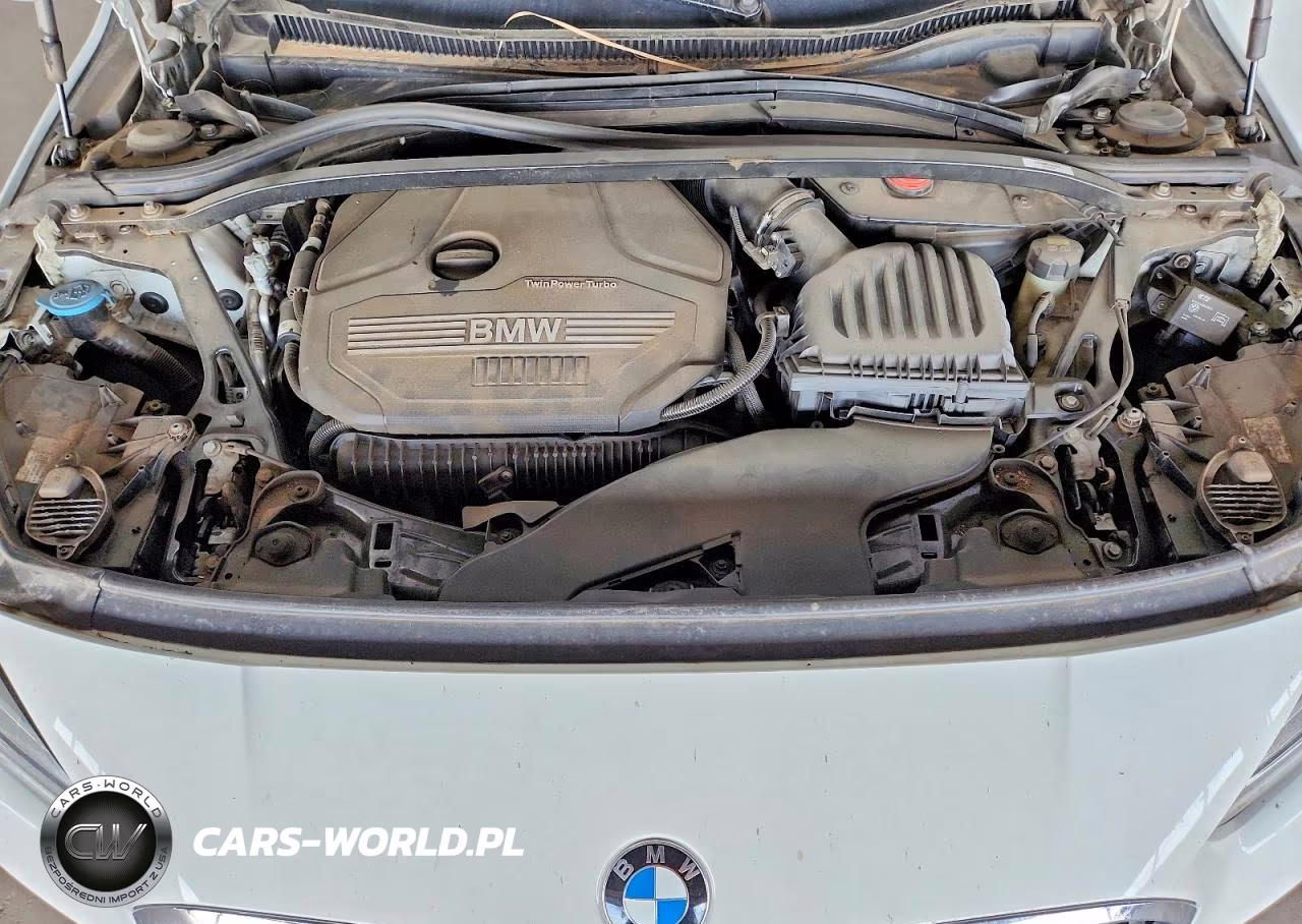 2020 BMW 228Xi VIN:WBA73AK09L7G08197 - 11