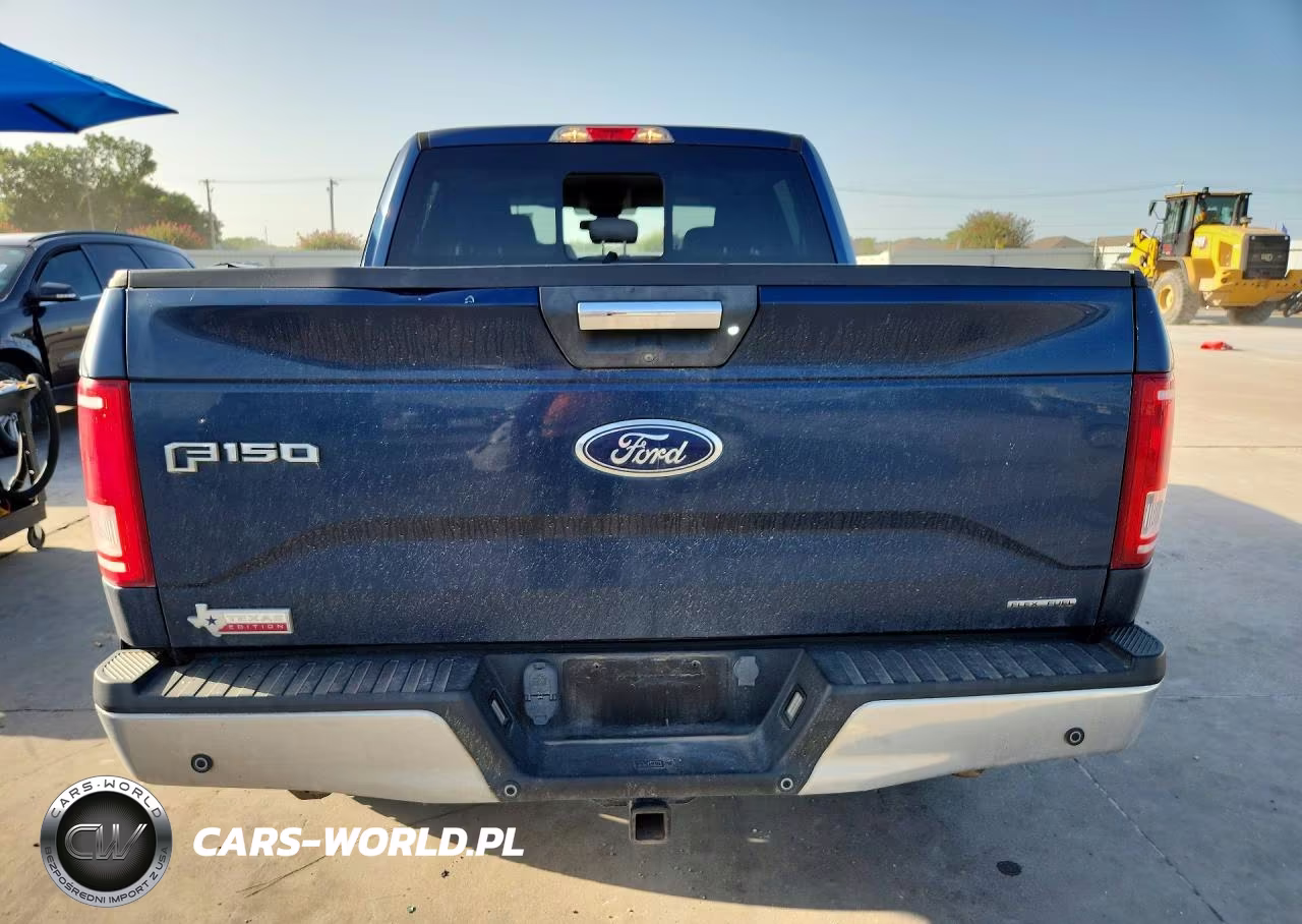 2016 Ford F150 Supercrew VIN:1FTEW1EF8GKF81379 - 6