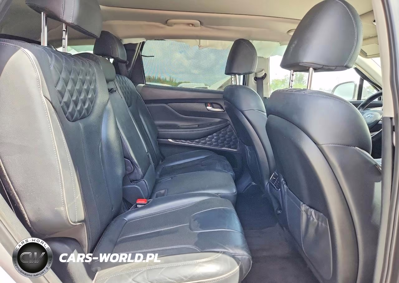 2021 Hyundai Santa Fe Sel Premium VIN:KM8S3DA10MU012691 - 11