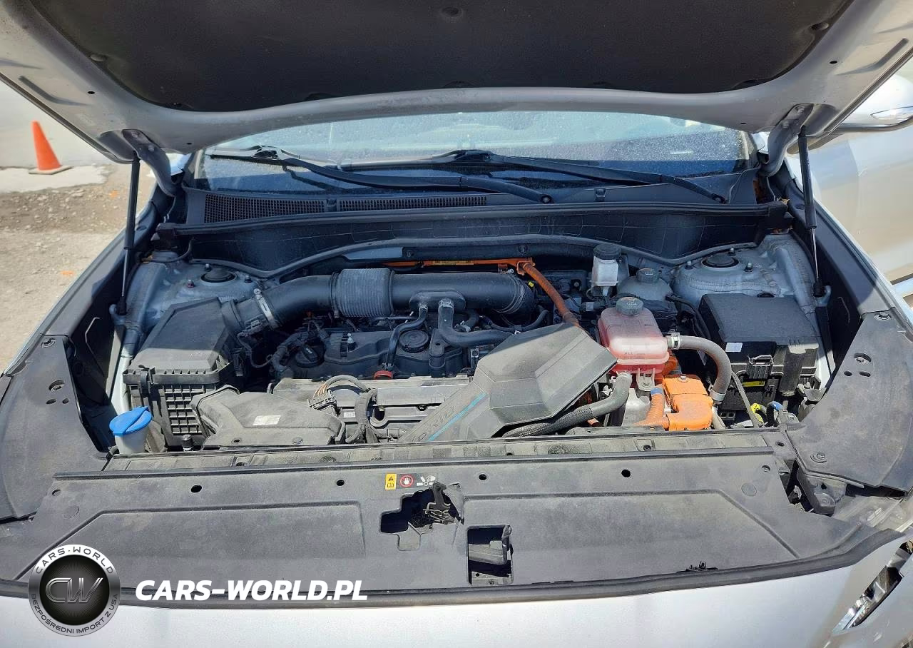 2021 Hyundai Santa Fe Sel Premium VIN:KM8S3DA10MU012691 - 12
