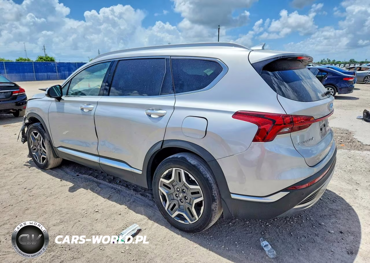 2021 Hyundai Santa Fe Sel Premium VIN:KM8S3DA10MU012691 - 2