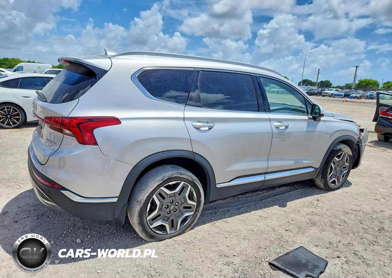 2021 Hyundai Santa Fe Sel Premium VIN:KM8S3DA10MU012691 - 3