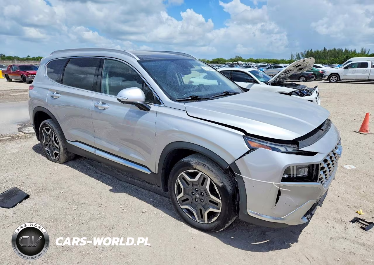 2021 Hyundai Santa Fe Sel Premium VIN:KM8S3DA10MU012691 - 4