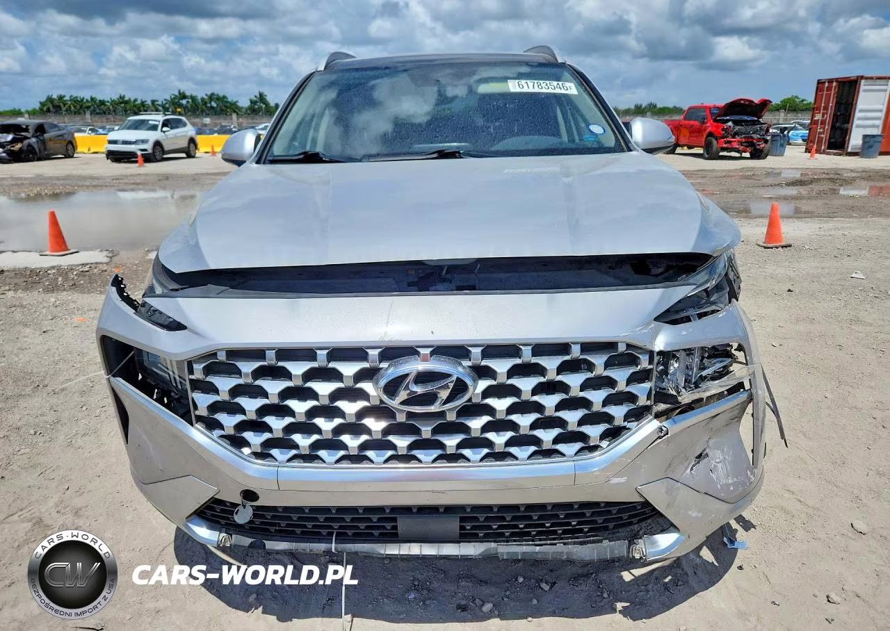 2021 Hyundai Santa Fe Sel Premium VIN:KM8S3DA10MU012691 - 5