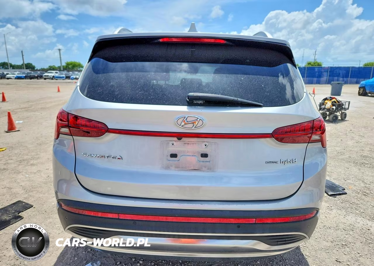 2021 Hyundai Santa Fe Sel Premium VIN:KM8S3DA10MU012691 - 6