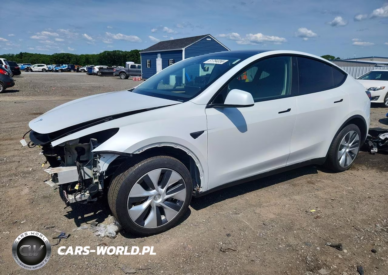 2023 Tesla Model Y VIN:7SAYGDEE5PA081485 - 1