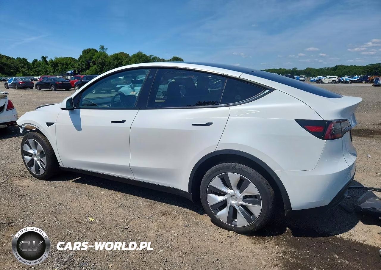 2023 Tesla Model Y VIN:7SAYGDEE5PA081485 - 2