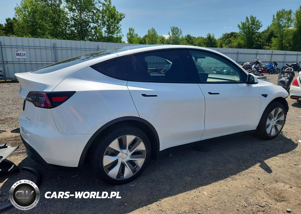 2023 Tesla Model Y VIN:7SAYGDEE5PA081485 - 3