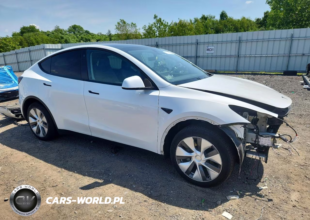 2023 Tesla Model Y VIN:7SAYGDEE5PA081485 - 4