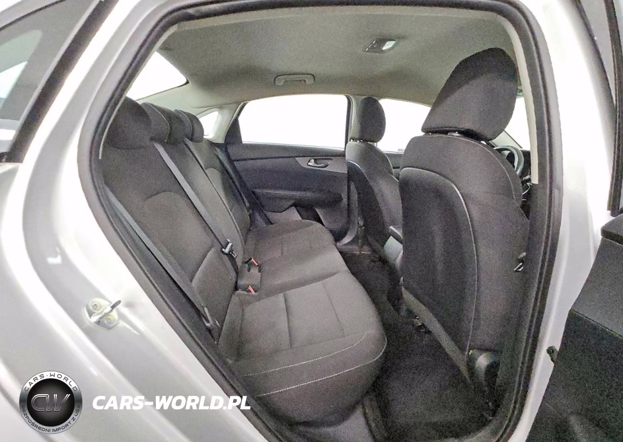 2019 Kia Forte Lxs VIN:3KPF24AD0KE015931 - 10