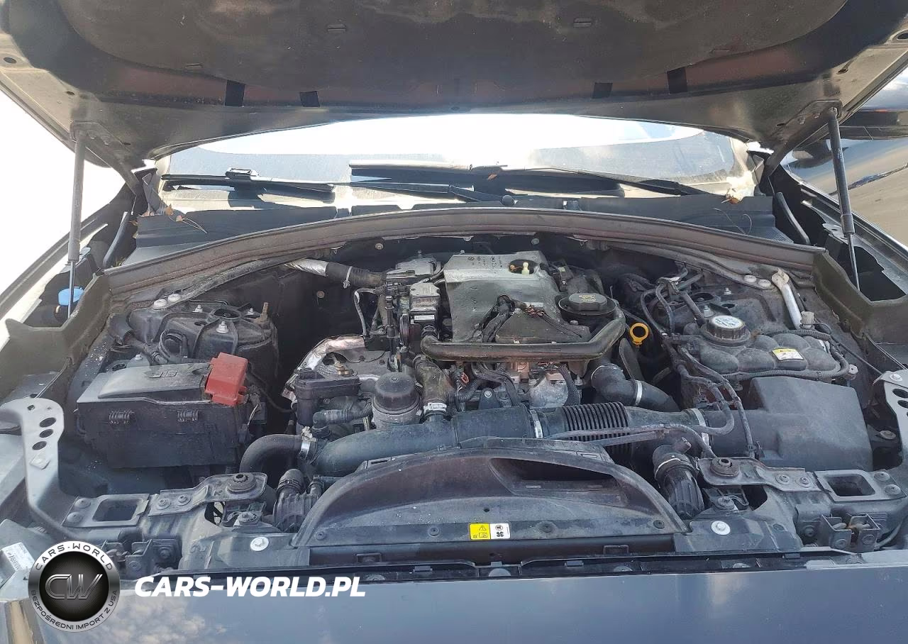 2019 Jaguar F-Pace Premium VIN:SADCJ2FX7KA391207 - 12