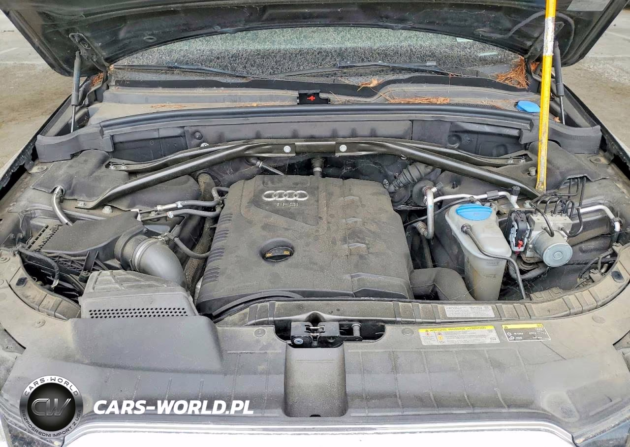 2013 Audi Q5 Premium VIN:WA1CFAFP6DA009222 - 11