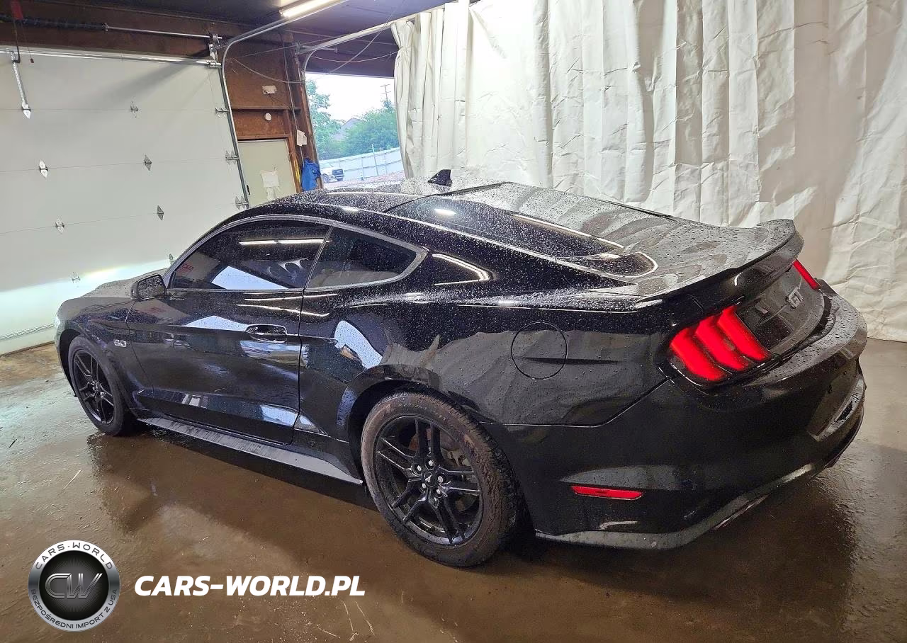 2020 Ford Mustang Gt VIN:1FA6P8CF0L5191100 - 2
