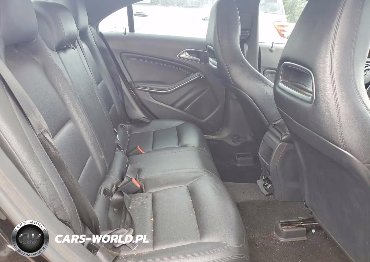 2014 Mercedes-Benz Cla 250 VIN:WDDSJ4EB9EN025776 - 10